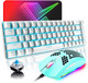60% Mechanical Gaming Keyboard and Mouse Combo with Mini Ergonomic Anti-ghosting 68Key Multi Backlight 6400DPI Green Honeycomb Mice Type-C Wired for PC Mac Gamer Office Typist(White Blue/Blue Switch)