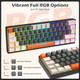 ZIYOU LANG RK-T60 Wired Mechanical Gaming Keyboard and Mouse Combo Portable with Rainbow Backlit 62Key NKRO 6400DPI RGB Honeycomb Mice Coiled Aviator Cable for PS4/PC/WIN Gamer(Dark Gray/Blue Switch)