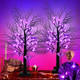 Agusbagli 2 Pack 24 Inch Black Halloween Tree Decor with Timer, Twigs Tree with 24 Purple Lights DIY 12 Spiders & 6 Bats Battery Operated Tabletop Artificial Spooky Tree Halloween Decorations for Home