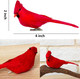12 PCS 5.5 Inch Artificial Red Cardinal Birds Clip-Christmas Cardinal Birds Clip for Christmas Tree Ornament Decorations, Arts and Crafts