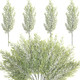 Alpurple 30 Pcs Christmas Snow Frosted Pine Branches- 13.5" Snowy Artificial Pine Needles Branches Twigs- Greenery Ceder Sprigs Pine Picks Stems for Christmas Wreath Home Garden Decoration