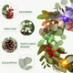 6ft Prelit Artificial Eucalyptus Christmas Garland, Multi-Color Lights/Battery Operated, Lighted Faux Silver Dollar Garland for Mantle Table Stairs Railing Xmas Indoor Outdoor Decoration 6ft Prelit Artificial Eucalyptus Christmas Garland, Multi-Color Lights/Battery Operated, Lighted Faux Silver Dollar Garland for Mantle Table Stairs Railing Xmas Indoor Outdoor Decoration