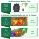 9FT Christmas Garland Prelit Faux Decorations, Realistic Green Norfolk Pine Garland with Lights Battery Operated for Mantle Stairs Railing Fireplace Table Indoor Xmas Decor, 9FT 9FT Christmas Garland Prelit Faux Decorations, Realistic Green Norfolk Pine Garland with Lights Battery Operated for Mantle Stairs Railing Fireplace Table Indoor Xmas Decor, 9FT