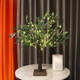 2FT Olive Tree with LED Lights, 30 LED Artificial Twinkle Tree with Timer, Lighted Greenery Tree Bonsai Fairy Tabletop Lamp Christmas Tree for Home Decor