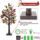Artgar 22 Inch Mini Christmas Tree, Purple Christmas Tree, Prelit Christmas Tree, Tabletop Christmas Tree with Pinecones 24 LED Warm Lights for Home, Tabletop, Indoor, Fireplace, Christmas Decorations