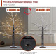 Snow Dusted Tabletop Christmas Tree, 24” Battery Operated Artificial Snowy Tree Lights with 24 Warm White LED Timer Function for Indoor Christmas Winter Party Decor