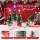 Mini Christmas Tree with Lights, 8 Pack Tabletop Christmas Tree with Lights for Indoor Christmas Decorations Holiday Party Ornagment, Christmas Centerpieces for Tables (8)