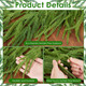 Norfolk Pine Garlands - Real Touch Winter Evergreen Garland for Christmas Décor 6 Ft Realistic Greenery Ideal Decor for Mantle Table Staircases Indoor Holiday Christmas Porch Door Decorations