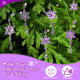 15 Pcs Christmas Acrylic Snowflake Christmas Crystal Christmas Tree Ornaments Christmas Crystal Decorations Crystal Ornaments for Christmas Tree for Party Celebration (Purple)