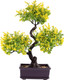 Cabilock Bonsai Tree, Artificial Tree, Artificial Bonsai Plants, Plastic Artificial Bonsai Tree, Simulation Yellow Plants Decor, Fake Plant Decor for Home Decor, Office Decor Cabilock Bonsai Tree, Artificial Tree, Artificial Bonsai Plants, Plastic Artificial Bonsai Tree, Simulation Yellow Plants Decor, Fake Plant Decor for Home Decor, Office Decor