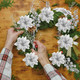 Ceenna 110 Pack Christmas Tree Ornament Set 40 Christmas Berry Picks 30 Artificial Poinsettias Flower with 30 Clips 10 Christmas Glitter Berries Stems for Christmas Tree Wreath DIY Craft (Silver)
