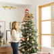 CiyvoLyeen Sloth Christmas Tree Topper with Glitter Star Sloth Xmas Home Decoration Funny Sloth Animal Ornament for Christmas Tree Winter Holiday Table Centerpiece Wreath Attachment Sloth Lovers CiyvoLyeen Sloth Christmas Tree Topper with Glitter Star Sloth Xmas Home Decoration Funny Sloth Animal Ornament for Christmas Tree Winter Holiday Table Centerpiece Wreath Attachment Sloth Lovers