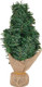Mini Christmas Tree Tabletop Decoration PVC Cloth Xmas Party Ornament Desk Tree Home Holiday Party Decor(30cm)