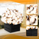 CVHOMEDECO. Cotton Pod with Wooden Vase Real Cotton Pods and Autumn Leaves in Black Wood Box for Home Decor. Idea for Wife, Him or Her, Valentines Day Mother's Day Birthday Warm s. CVHOMEDECO. Cotton Pod with Wooden Vase Real Cotton Pods and Autumn Leaves in Black Wood Box for Home Decor. Idea for Wife, Him or Her, Valentines Day Mother's Day Birthday Warm s.