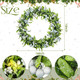 Dingion 16 Inch Flocked Olive Christmas Wreath with Lights Pre-Lit Artificial Christmas Wreath for Front Door Snowy Olive Garland Battery Operated Door Wreath for Fireplace Indoor Outdoor Wall Window