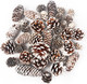 DomeStar 40PCS Snow Pine Cones for Crafts, Natural Pine Cones Christmas Pine Cone Ornaments for Xmas Tree Wreath Winter Holiday Hanging Ornaments