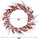 DR.DUDU 22 Inches Lighted Christmas Wreath for Front Door, Battery Operated Red Berry Artificial Wreaths with Light up Snowflakes Ornaments, Christmas Decorations for Home Mantle Holiday Party
