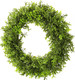 Boxwood Wreath Artificial Preserved Boxwood Wreath for Garden Front Door, The Green Boxwood Wreath Will Keep Your Door, Walls, and Windows Fresh All Year Round and is an Great Home Decor -22 INCH