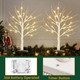 EAMBRITE Birch Tree with Led Lights, White Christmas Decorations Indoor with Timer, Lighted Mini Small Artificial Lamp Prelit Twig Tree Battery Operated for Table Centerpiece Home Decor 2Pack