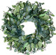26 Inch Artificial Eucalyptus Wreaths for Front Door for All Seasons,Spring Summer Fall Autumn Winter Christmas Wreath,Large Neutral Everyday Greenery Wreath,Home Wall Door Porch Decor