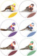 12PCS Feathered Birds, Colorful Artificial Lifelike Feathered Birds Foam Feathered Birds with Wire for DIY Crafts Christmas Tree Home Garden Wedding Decor 12PCS Feathered Birds, Colorful Artificial Lifelike Feathered Birds Foam Feathered Birds with Wire for DIY Crafts Christmas Tree Home Garden Wedding Decor