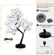 Fanshunlite Tabletop Bonsai Tree Colorful 18" 24 LED Rose Flower Tree with 18 Colors Changing, Table Lamp for Girls Teens, Multi Color Light Decorative Desk Tree for Home Party Wedding Bedroom, Red Fanshunlite Tabletop Bonsai Tree Colorful 18" 24 LED Rose Flower Tree with 18 Colors Changing, Table Lamp for Girls Teens, Multi Color Light Decorative Desk Tree for Home Party Wedding Bedroom, Red