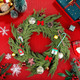 Christmas Norfolk Pine Wreath 24 Inch Green Wreaths for Front Door Artificial Cedar Wreath Faux Greenery Realistic Wreath for Christmas Porch Windows Indoor Outdoor Decor DIY Crafts