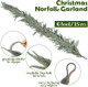 1 Pack Christmas Norfolk Garlands Set 6 Feet Artificial Winter Pine Garland Light String Faux Greenery Garland Green and White Pine Garland for Xmas Holiday Home Indoor Decor 1 Pack Christmas Norfolk Garlands Set 6 Feet Artificial Winter Pine Garland Light String Faux Greenery Garland Green and White Pine Garland for Xmas Holiday Home Indoor Decor