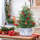 Pre-lit Tabletop Artificial Mini PE Christmas Tree - 21" Little Xmas Tree with LED Lights and Fence Base for Home Office Holiday DIY Décor