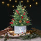 Pre-lit Tabletop Artificial Mini PE Christmas Tree - 21" Little Xmas Tree with LED Lights and Fence Base for Home Office Holiday DIY Décor