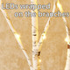 Fudios Birch Branch Lights with Timer for vase 100 LED Lighted Willow Twig 32IN Tall Battery Operated Home Party Indoor Outdoor use