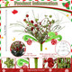 Christmas Tree Topper Red Green Christmas Tree Picks Decoration with Spring 17 Inch Elf Glitter Spiral Stem Sequins Ball Curly Pick Green Faux Fur Curly for Xmas Tree Ornaments Decoration Christmas Tree Topper Red Green Christmas Tree Picks Decoration with Spring 17 Inch Elf Glitter Spiral Stem Sequins Ball Curly Pick Green Faux Fur Curly for Xmas Tree Ornaments Decoration
