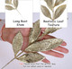 GREENTIME 12 Pack Artificial Light Golden Glitter Leaves 13" Fake Christmas Picks Decorative Glitter Sticks for Vase Christmas Tree DIY Wreath Crafts Fireplace Decor