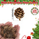 100 Pack Pine Cones, Mini Natural Pine Cones for Christmas Tree, 1.18 in Pine Cones for Crafts, Mini Pinecone Ornaments, Christmas Wreath Craft, Winter Decorations for Home Fall Decor Vase Filler