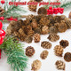100 Pack Pine Cones, Mini Natural Pine Cones for Christmas Tree, 1.18 in Pine Cones for Crafts, Mini Pinecone Ornaments, Christmas Wreath Craft, Winter Decorations for Home Fall Decor Vase Filler