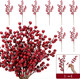 HOHOTIME Christmas Holly Berry Stem Ornaments, 8 Large Branches/32 Small Branches Artificial Berry Stem, Removable Artificial Glitter Berry Stem Ornaments, Home Decorative for Christmas Tree Wreath HOHOTIME Christmas Holly Berry Stem Ornaments, 8 Large Branches/32 Small Branches Artificial Berry Stem, Removable Artificial Glitter Berry Stem Ornaments, Home Decorative for Christmas Tree Wreath