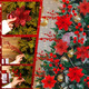 Hotop 48 Pcs 4 Styles Christmas Glitter Poinsettia Artificial Flowers 24,12 Bead Sticks,12 Berries Stems Gold Christmas Tree Ornament with Clips and Stem for Xmas Wedding Wreath Decoration (Red)