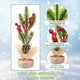 HUIANER Mini Christmas Tree Tabletop Tree with Pine Cone Berry Christmas Decor with Wood Base Ornaments for Xmas Holiday Decorations Table Desk