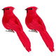 INOOMP 2Pcs Artificial Red Cardinal Birds with Clip Simulated Christmas Feathered Birds Foam Bird Adornment for Christmas Tree Ornament Birds Crafts Tree Home Outdoor Decorations
