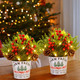 2 Pack Christmas Table Decorations, Potted Christmas Tree with Lights, Pine Cones and Berries, Christmas Plants Artificial, Christmas Centerpieces for Tables, Home, Mantel Holiday Decor 2 Pack Christmas Table Decorations, Potted Christmas Tree with Lights, Pine Cones and Berries, Christmas Plants Artificial, Christmas Centerpieces for Tables, Home, Mantel Holiday Decor