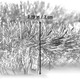 Jishi 50 FT Christmas Garland Silver Tinsel Garland Christmas Tree Decorations - Non-Lit Xmas Holiday Decor Outdoor Indoor Home Garden Outside Wedding Party Artificial Thick Silver Decorative Garland
