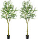 KOL Artificial Olive Tree 6FT 2-Pack Faux Silk Plant for Modern Home Office Decor Fake Potted Tree with Lifelike Realistic Fruits, Unique Trunk with a Concave-Convex Appearance,Indoor Outdoor Décor KOL Artificial Olive Tree 6FT 2-Pack Faux Silk Plant for Modern Home Office Decor Fake Potted Tree with Lifelike Realistic Fruits, Unique Trunk with a Concave-Convex Appearance,Indoor Outdoor Décor