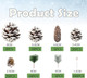 Christmas Pine Cones Berry Pine Branch Set 175PCS White Christmas Winter Wedding Decorations Ornament for DIY Crafts Home Wreath Decorations Xmas Tree Tag Snow Party Supplies