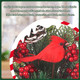 Cardinal Christmas Table Decorations, 13'' Cardinal Christmas Table Decor, Artificial Small Christmas Tree Centerpieces for Tables Christmas Year