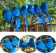 LWINGFLYER 2PCS Blue Artificial Birds Realistic Feather Bird Clip on Christmas Tree Ornaments for Wreath Crafts Wedding Decor Garden Home Decoration