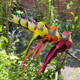 LWINGFLYER 12pcs Assorted Artificial Birds Ornaments 6-inch Simulated Foam Feathered Birds for Home Garden Wedding Party Decoration Wreaths Crafts Christmas Tree Decor Claw LWINGFLYER 12pcs Assorted Artificial Birds Ornaments 6-inch Simulated Foam Feathered Birds for Home Garden Wedding Party Decoration Wreaths Crafts Christmas Tree Decor Claw