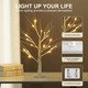 MEETYAMOR 2 Pack 24” 2FT Lighted Birch Tree with 18LT Warm White LEDs, Christmas Decorations Indoor Battery Powered Timer, Money Tree for Winter Party Wedding Table Mantel Home Easter Decor