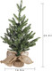 MorTime 24 Inch Mini Artificial Christmas Tree with 50 LED Lights, 2 ft Table Top Christmas Pine Tree 29 Tips with Burlap Wooden Base, Christmas Winter Home Decorations