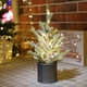 Emad Lighted Mini Tree 12 Inch with 15 Warm Whited LED Lights USB Powered for Winter Decor Hone Party and Wedding Holiday