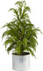 Nearly Natural 20in. Cedar Pine Natural Look Artificial Tree in Decorative Planter
